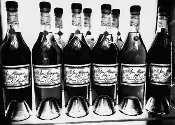 BAS Bottles, Black & White