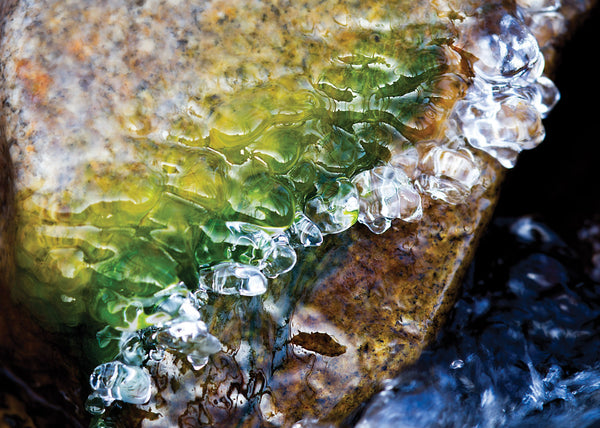 Moss Rock