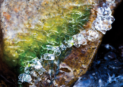 Moss Rock